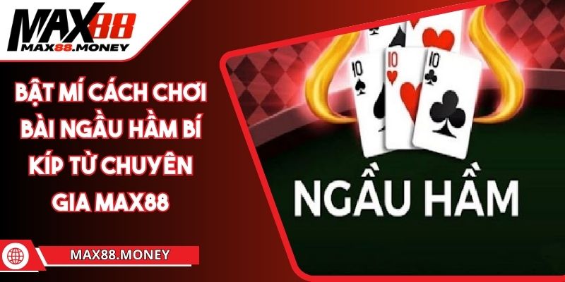 Bật Mí Cách Chơi Bài Ngầu Hầm Bí Kíp Từ Chuyên Gia MAX88 1 Bật Mí Cách Chơi Bài Ngầu Hầm Bí Kíp Từ Chuyên Gia MAX88