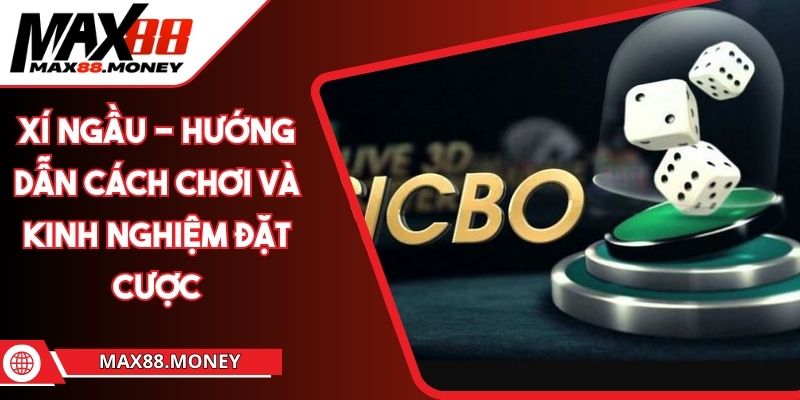 Xí Ngầu - Hướng Dẫn Cách Chơi Và Kinh Nghiệm Đặt Cược 1 xí ngầu